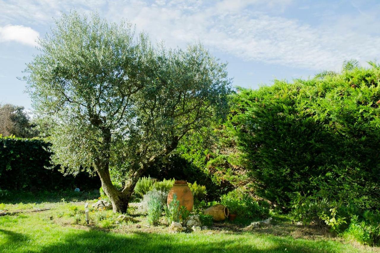 B&B Tina De Pacs, Close To Local Wineries Pacs del Penedes Esterno foto