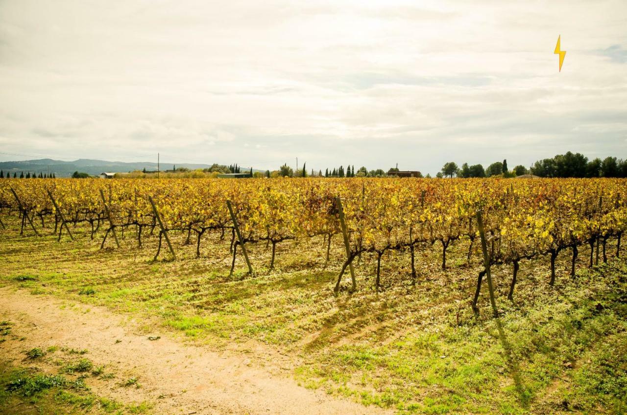 B&B Tina De Pacs, Close To Local Wineries Pacs del Penedes Esterno foto